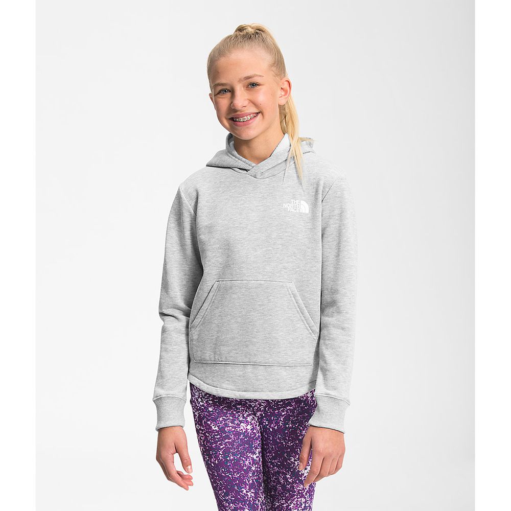 The North Face Hoodie Girls Australia - The North Face Camp Fleece Pullover Light Grey (KOA-348521)